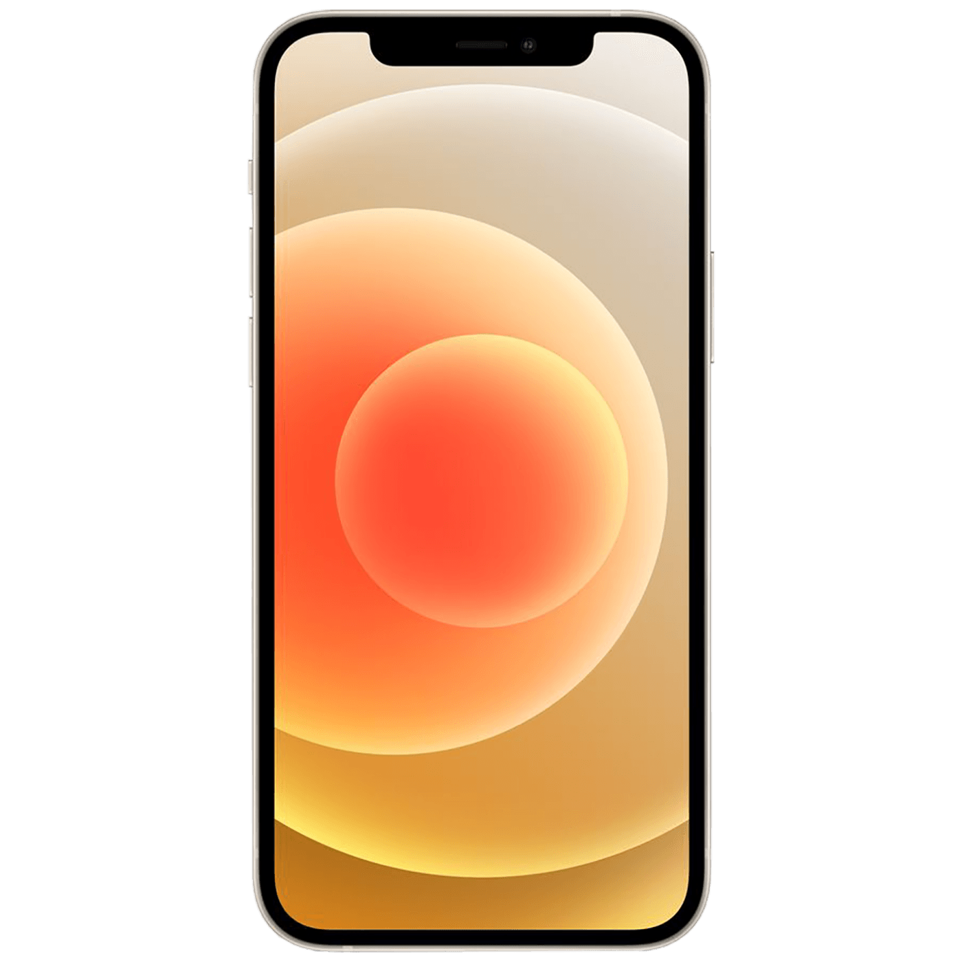 15512_1686242897m9t4fx70pi