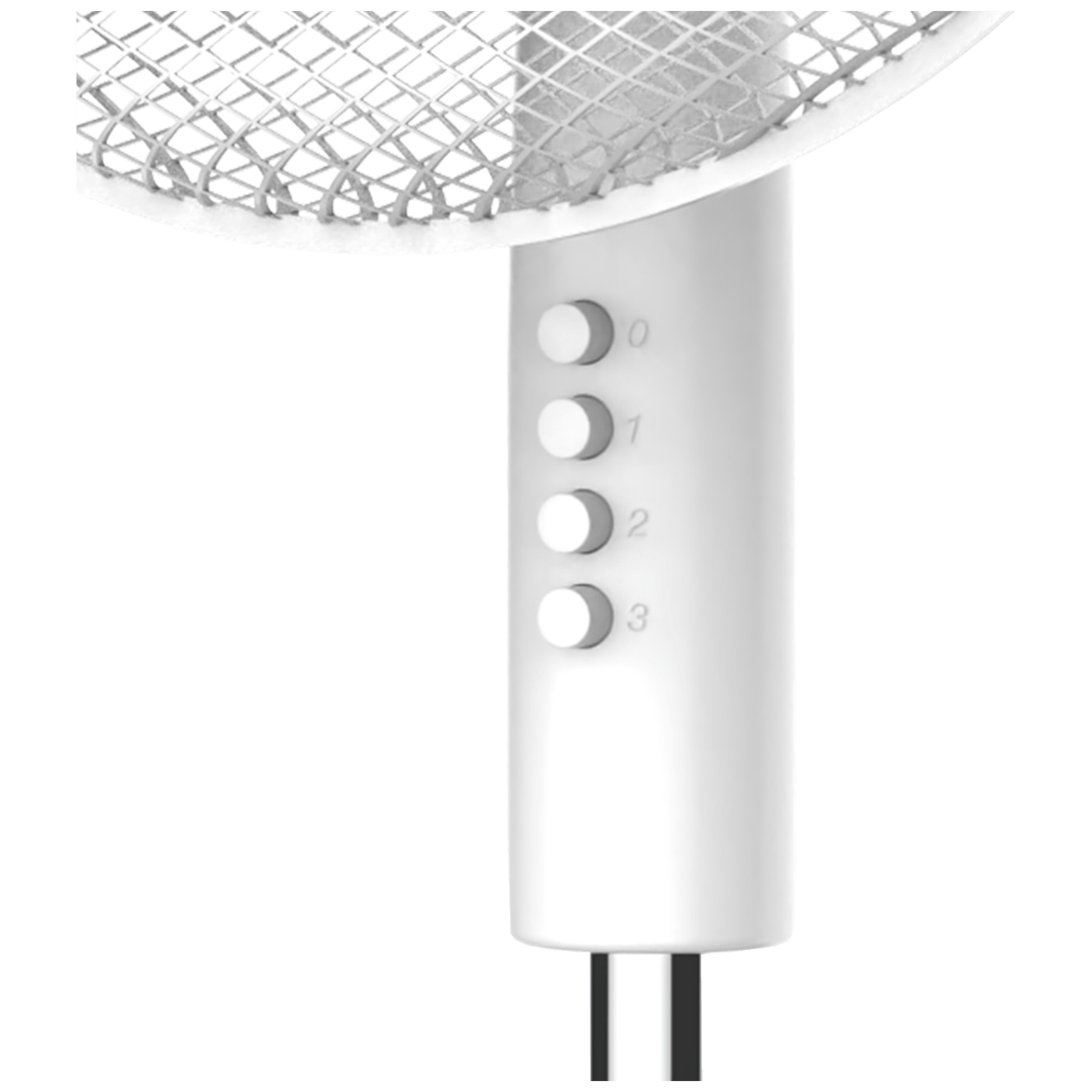 31017_1686313594gc1tmh06kz