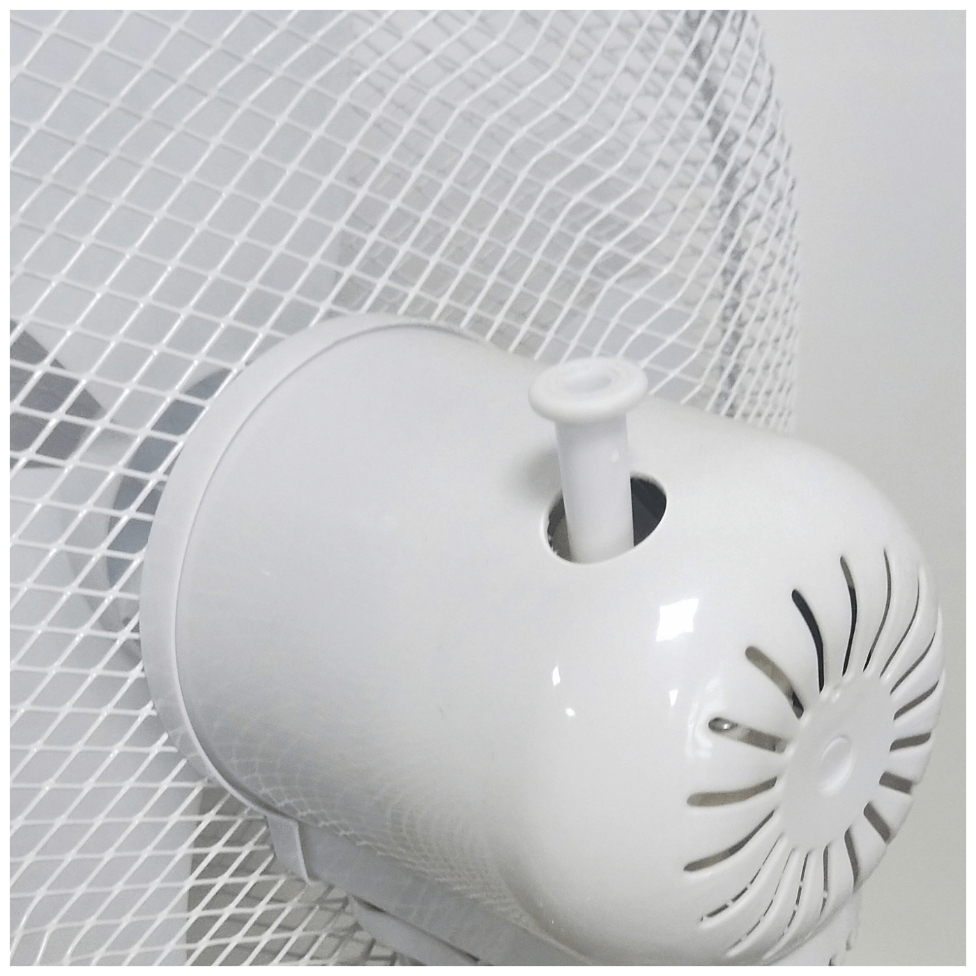 31017_1686313595dy0lmi7tk2