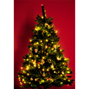 home Dekorativna LED rasvjeta - KI 100 LED/WW