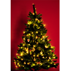 home Dekorativna LED rasvjeta - KI 50 LED/WW