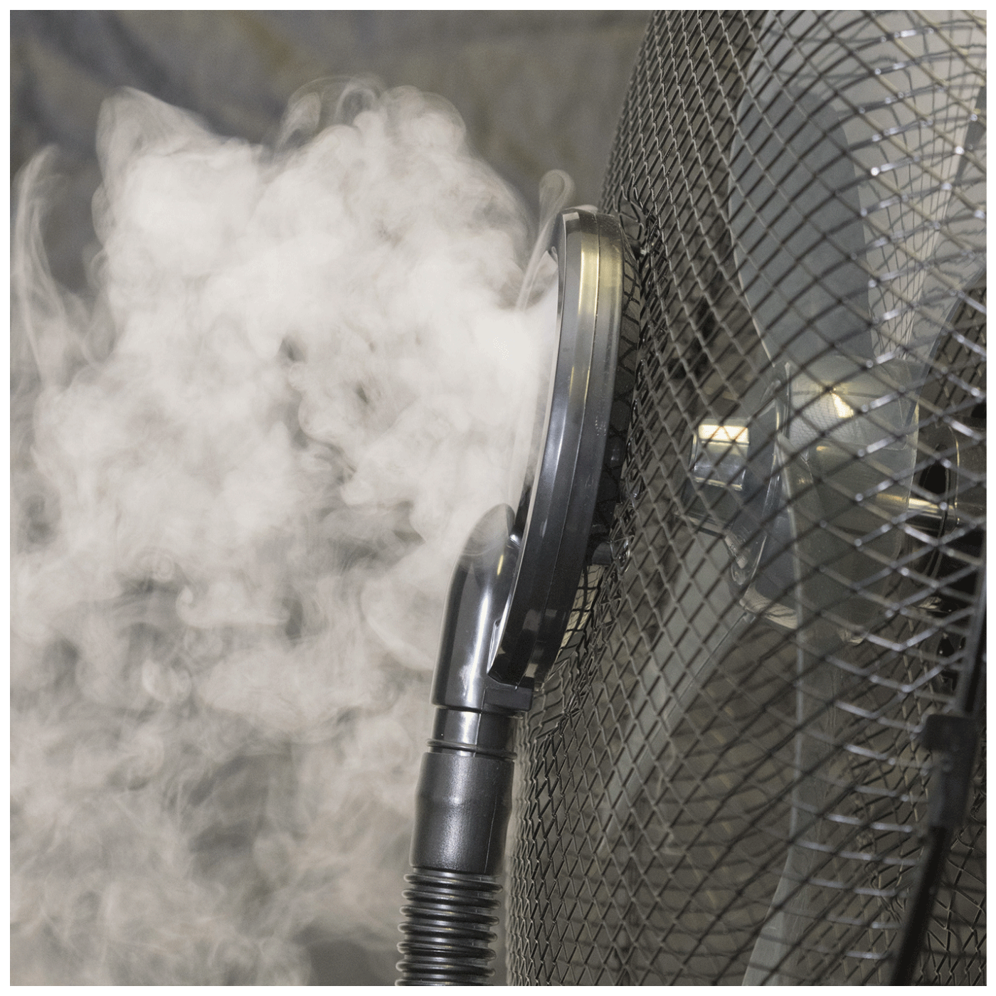 9405_1686171995v9a6uvt55g