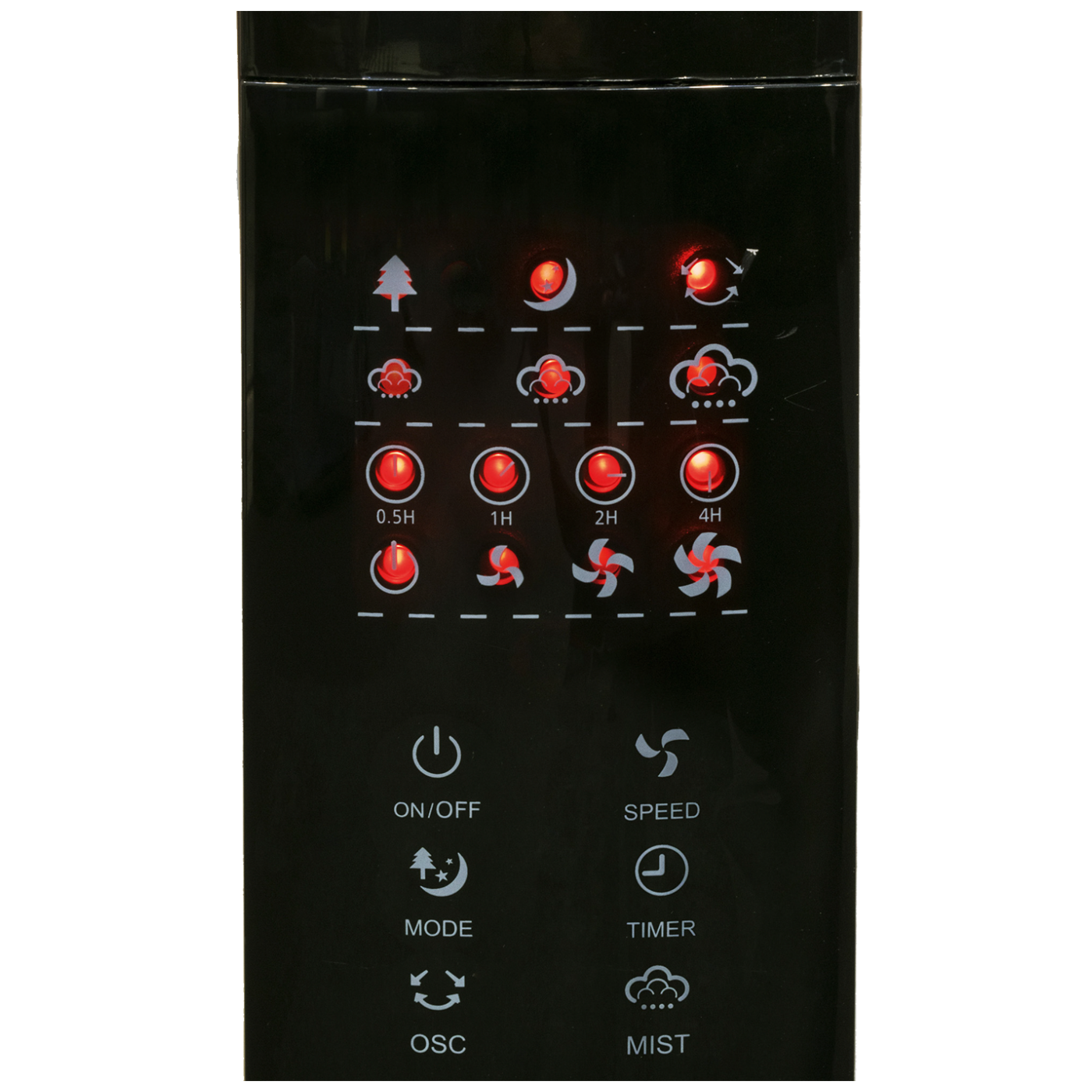 9405_1686171997lbun37plbh