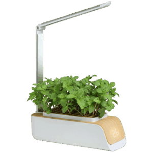 NN-Su Inteligentna lampa za rast biljaka, saksija - Vegetable Plant Growth Lamp